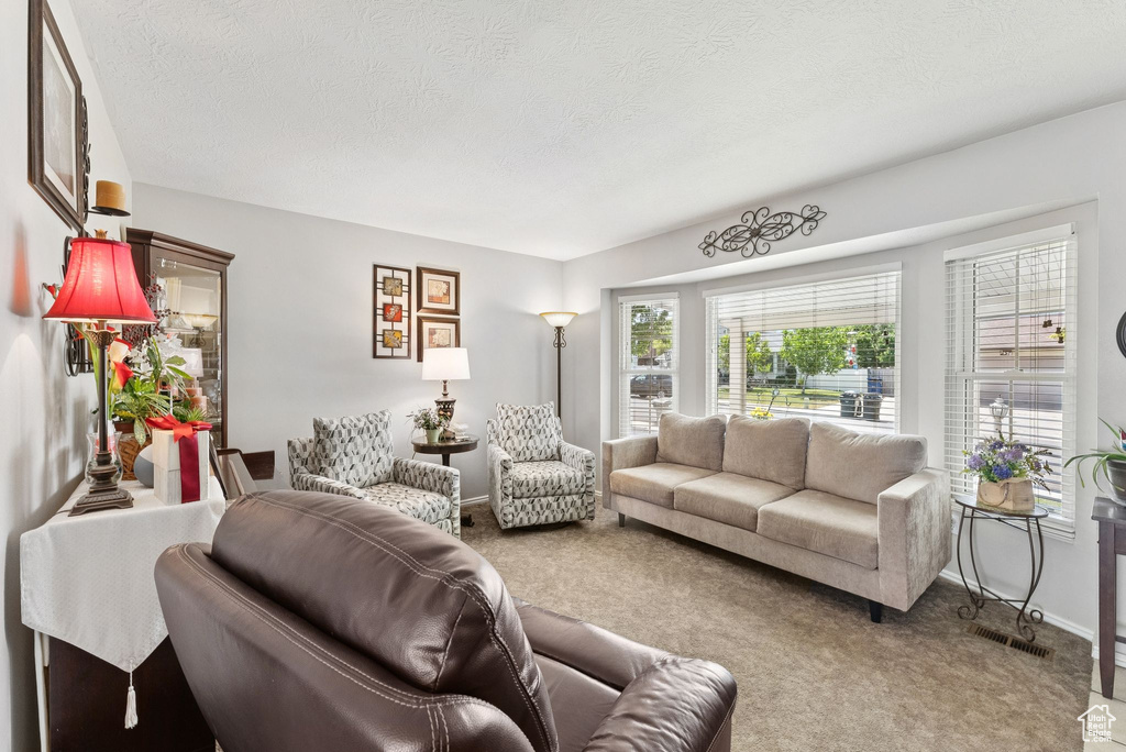Carpeted living room with a textured ceiling