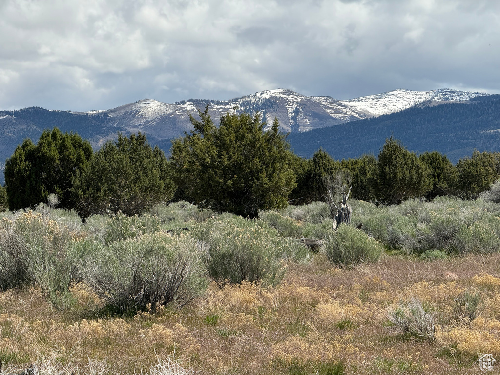  Spring City, UT 84662