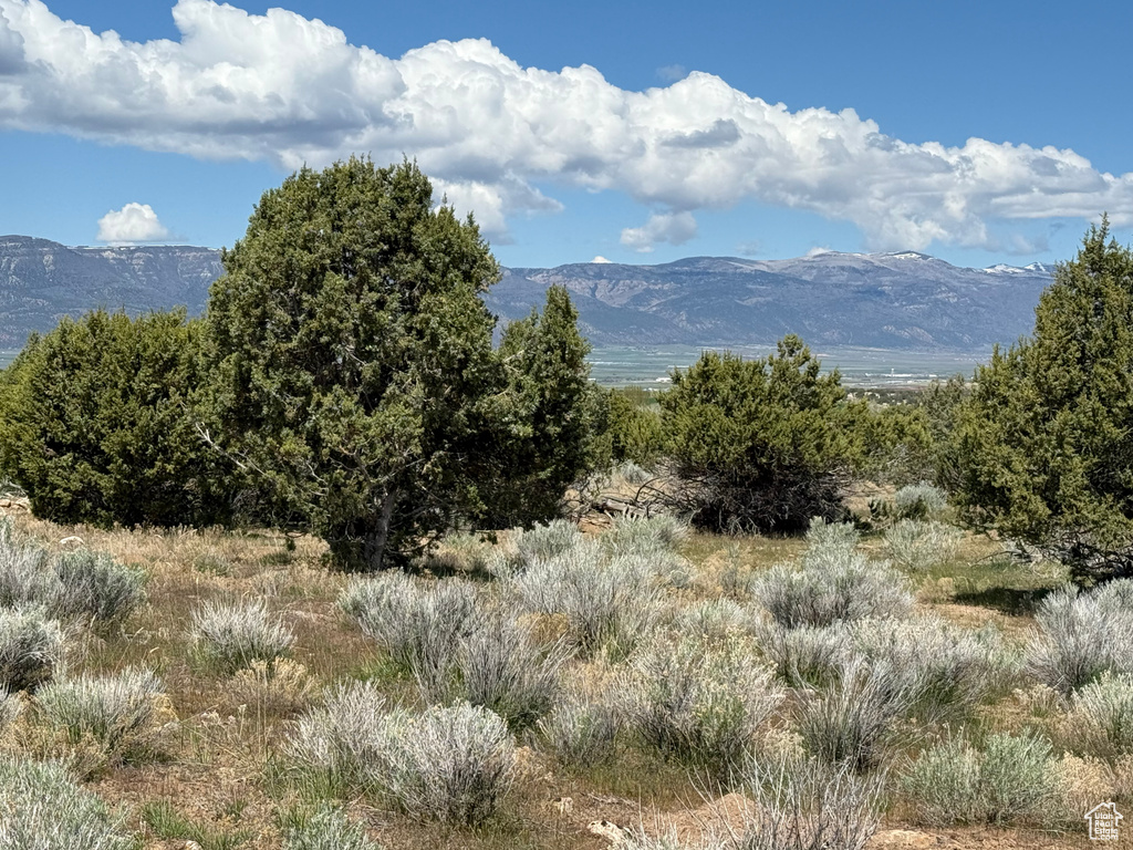  Spring City, UT 84662