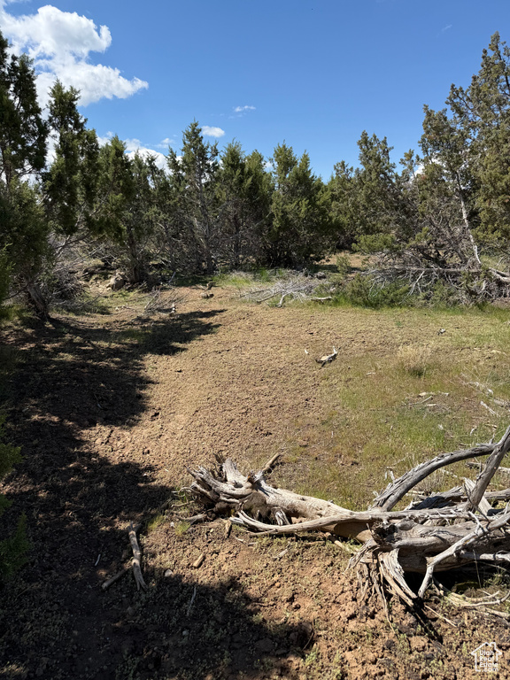  Spring City, UT 84662