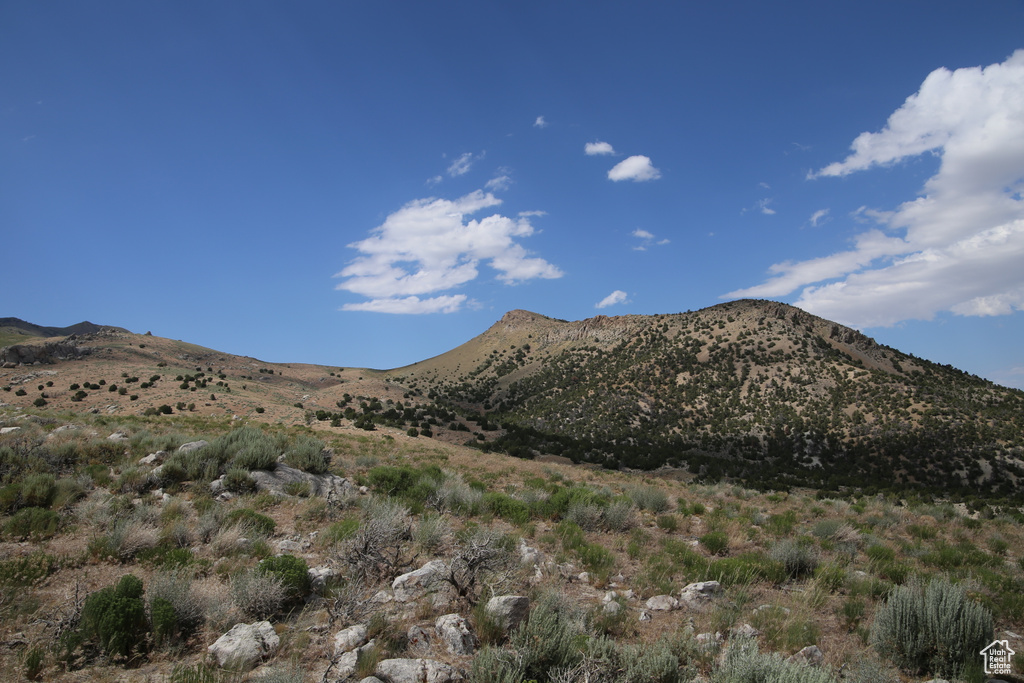 View of mountain backdrop