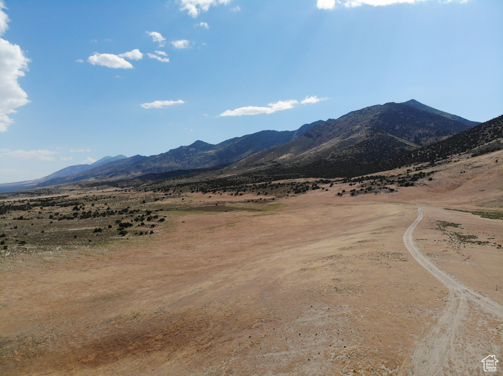 View of mountain background