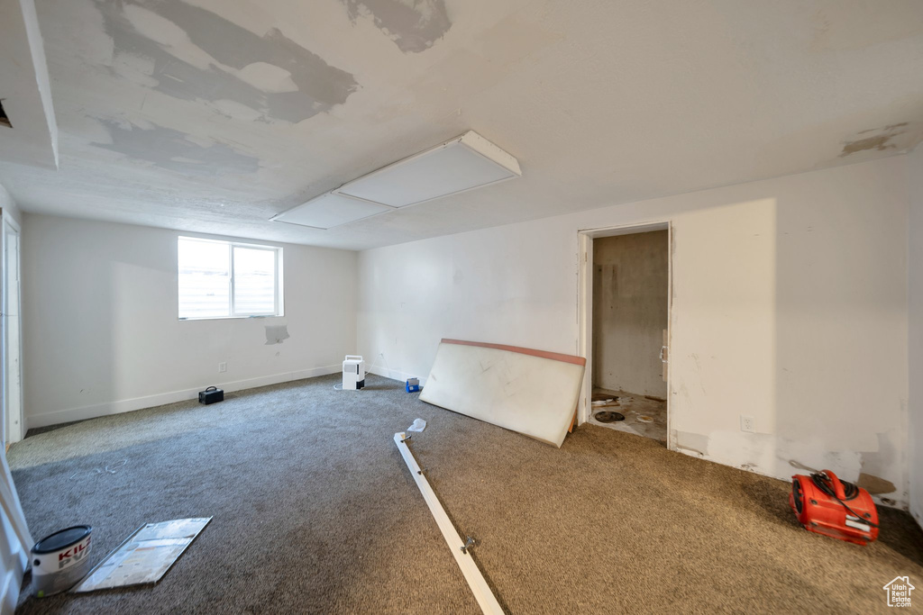 Below grade area featuring carpet floors