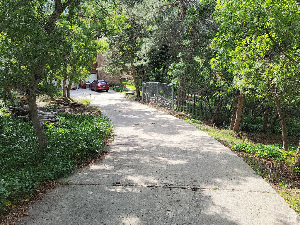 View of concrete driveway