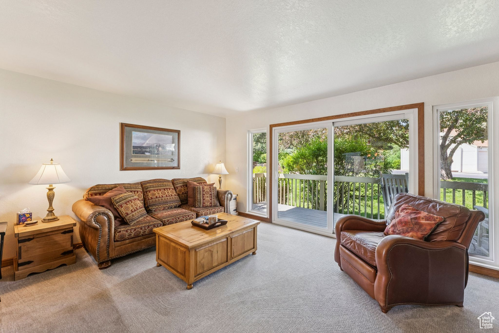Living area featuring plenty of natural light and light carpet