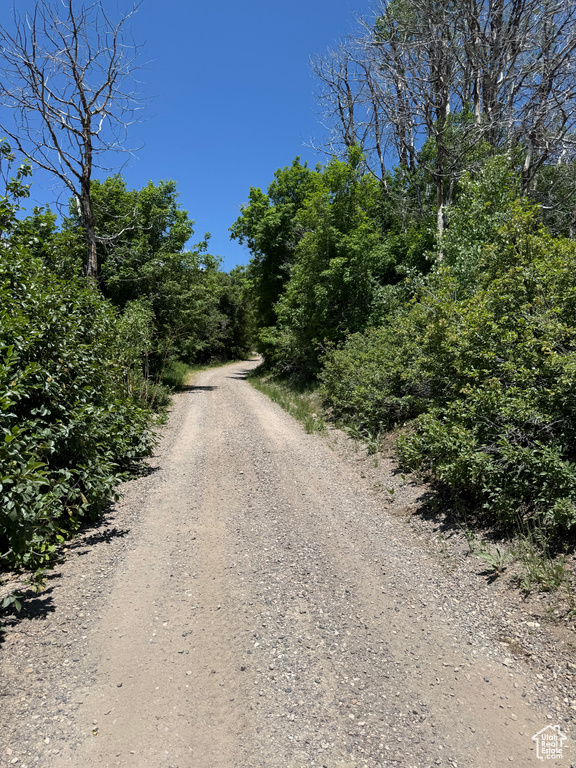 View of dirt / gravel road