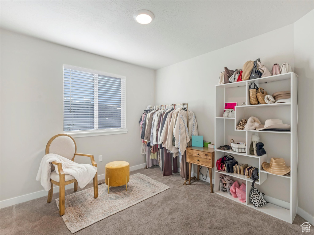 Walk in closet with carpet