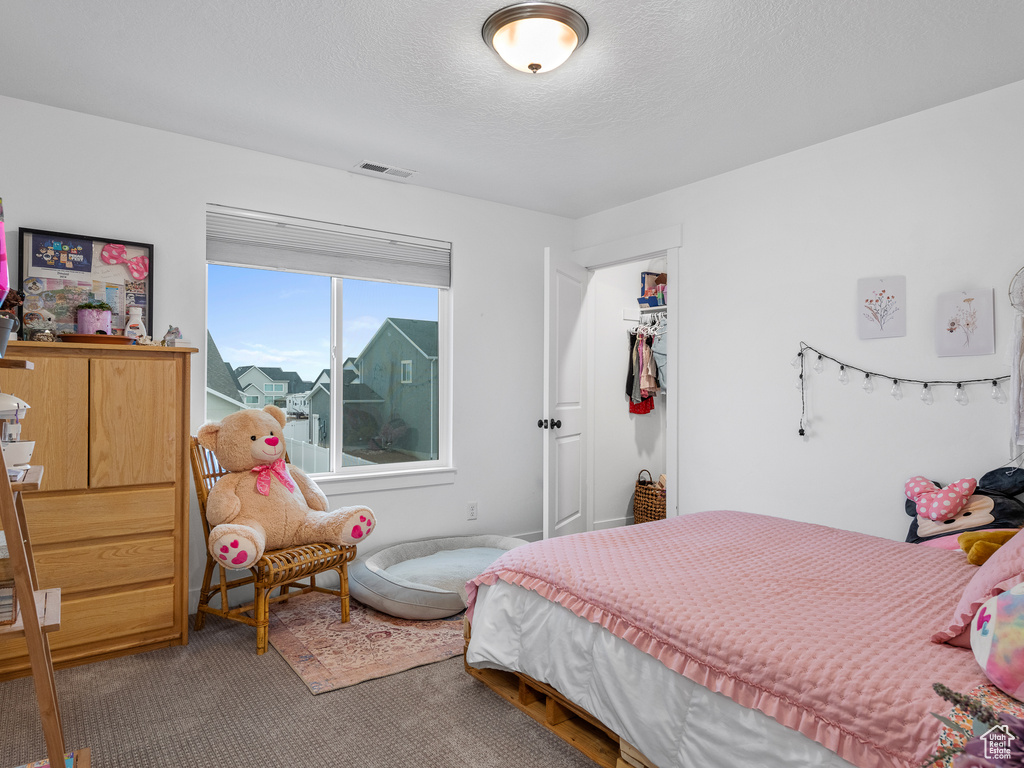 Carpeted bedroom with a closet and a textured ceiling