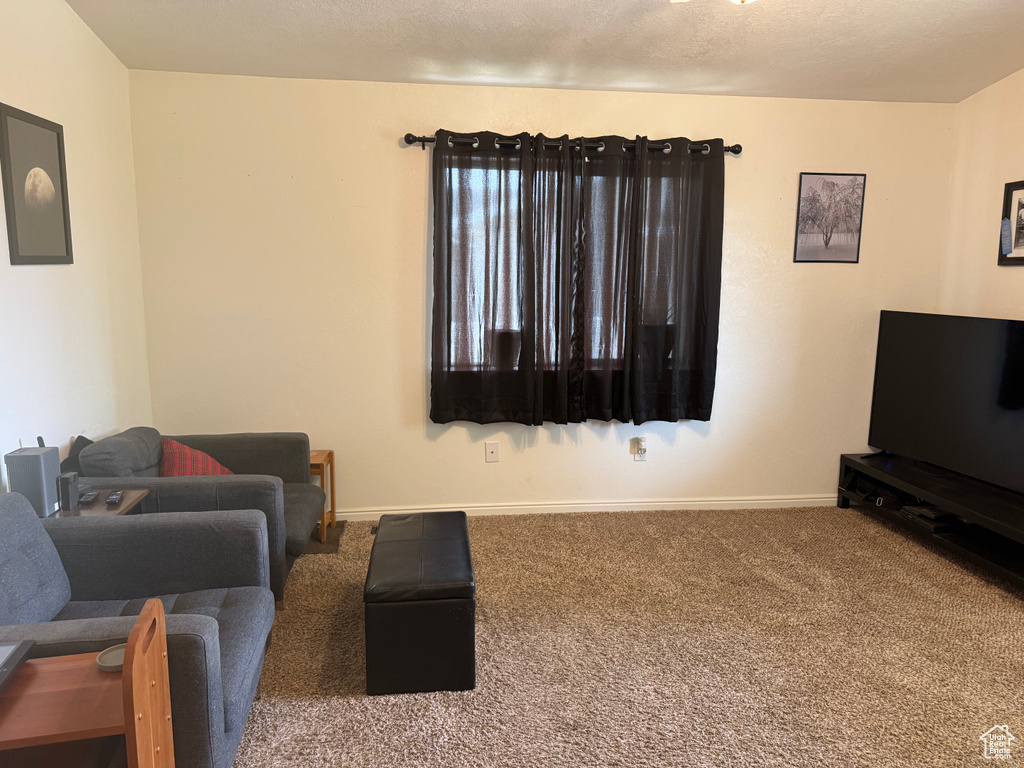 Living area with carpet