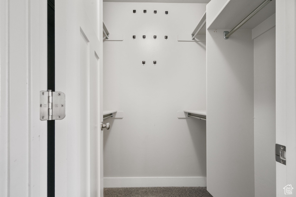 Spacious closet with carpet