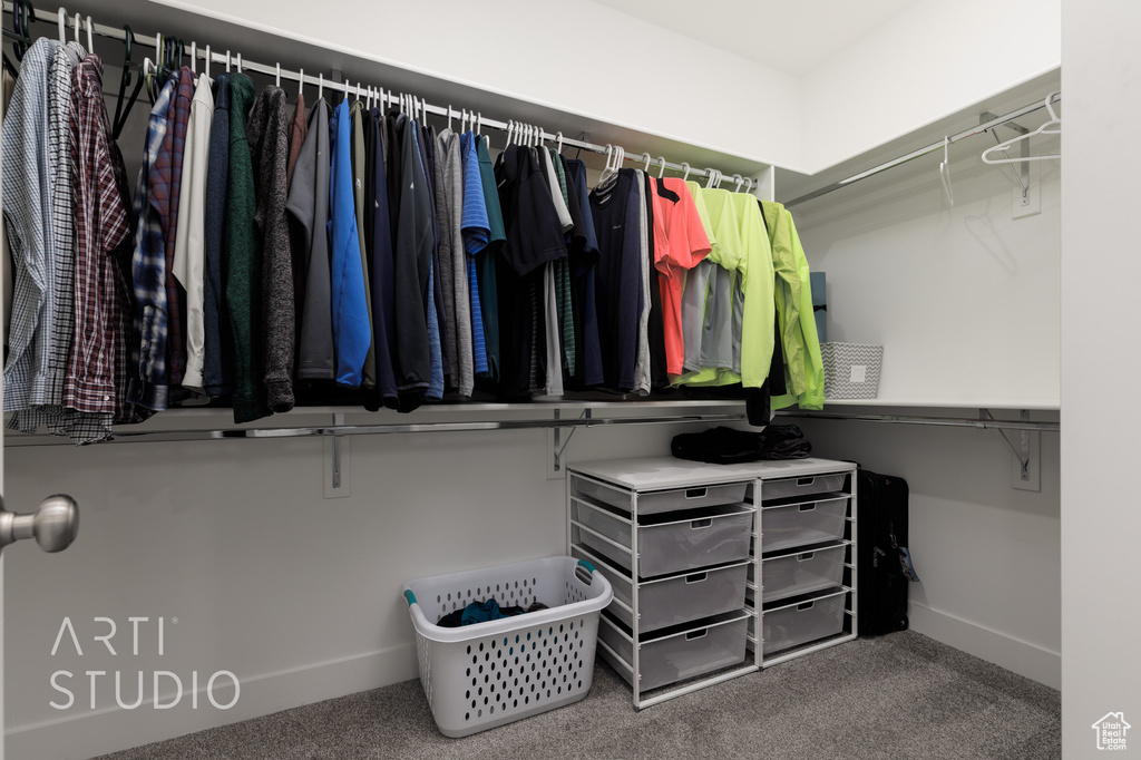 Spacious closet featuring carpet flooring