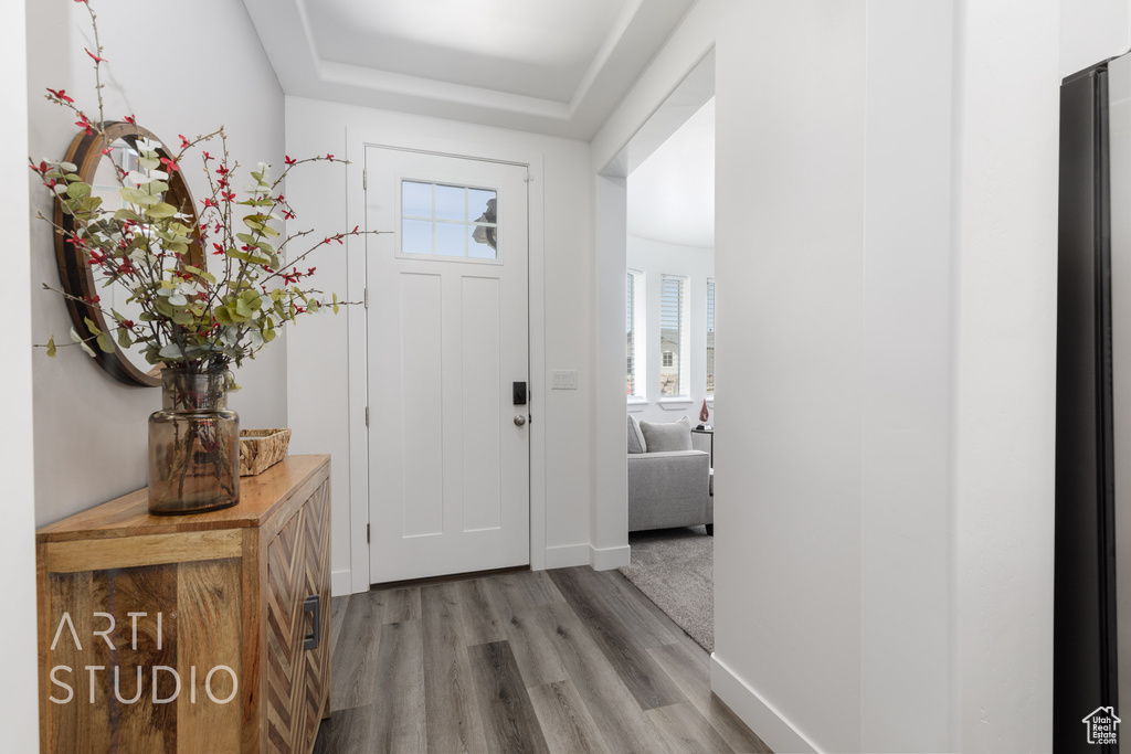 Foyer entrance with light wood finished floors, plenty of natural light, and a tray ceiling