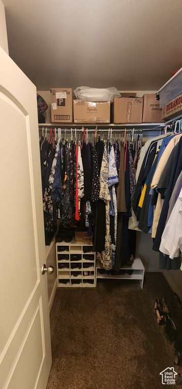 Walk in closet with carpet