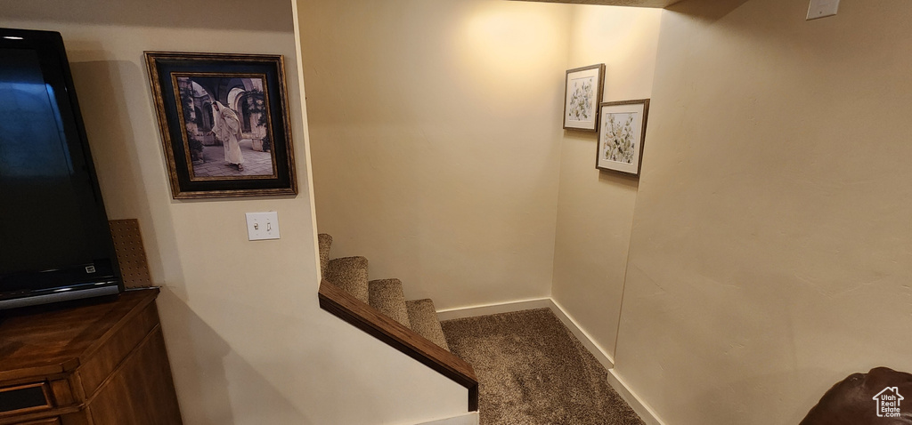 Stairs with carpet flooring and baseboards
