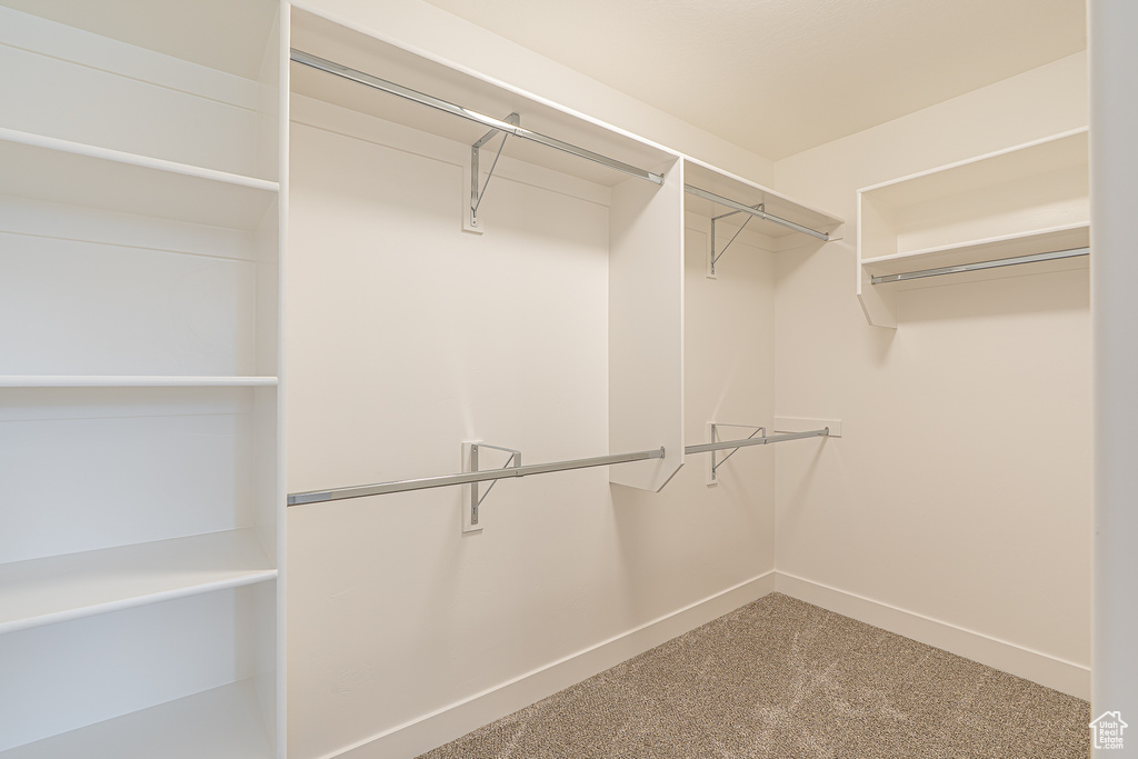 Walk in closet featuring carpet