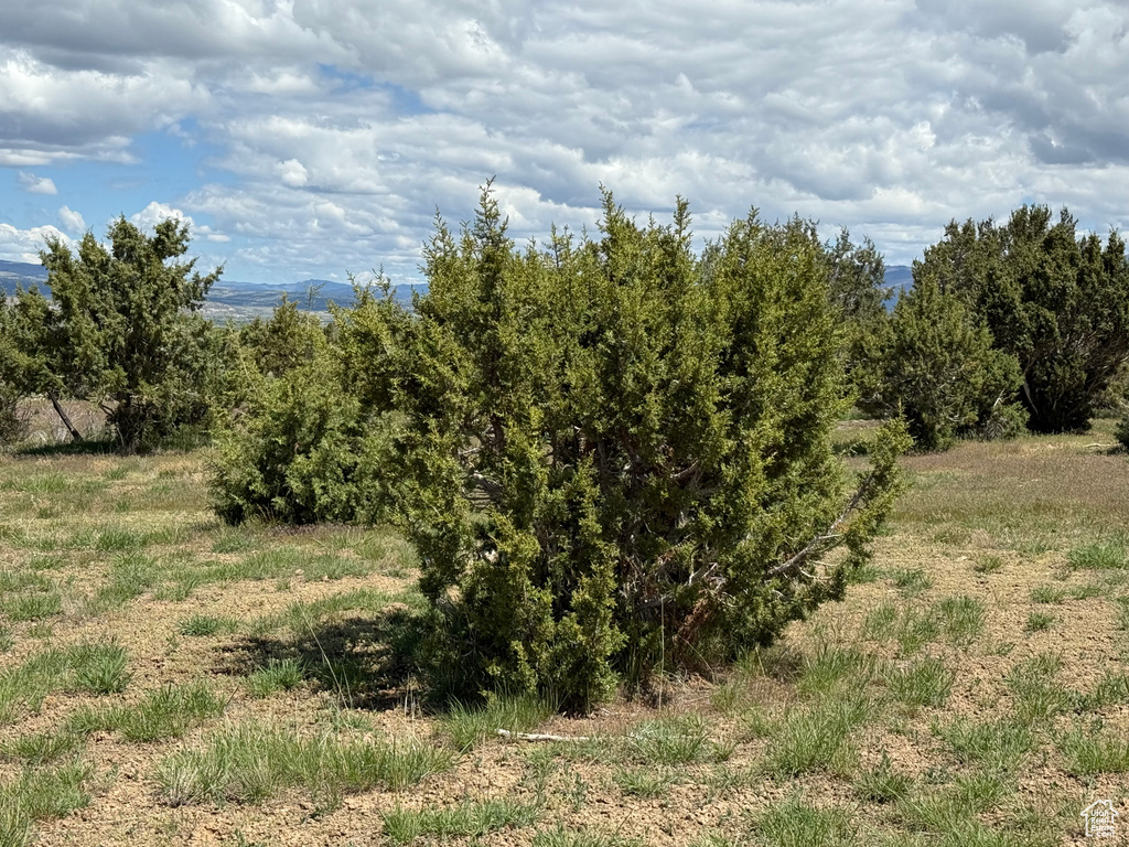  Spring City, UT 84662