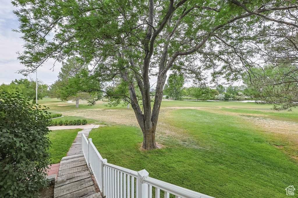 View of grassy yard