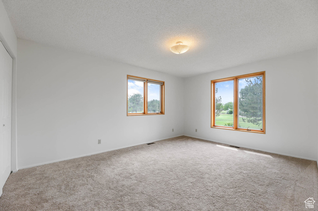 Unfurnished bedroom with multiple windows, carpet, a textured ceiling, and a closet
