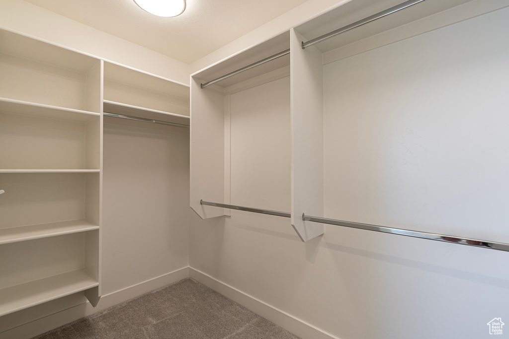 Spacious closet with carpet flooring