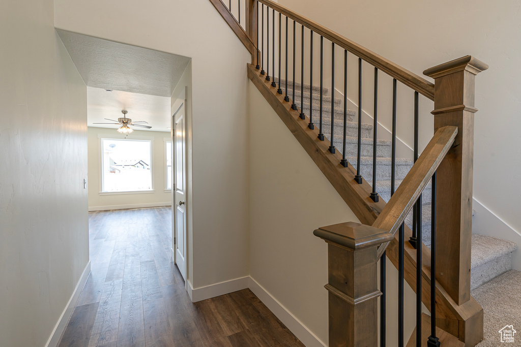 Stairs with wood finished floors and ceiling fan