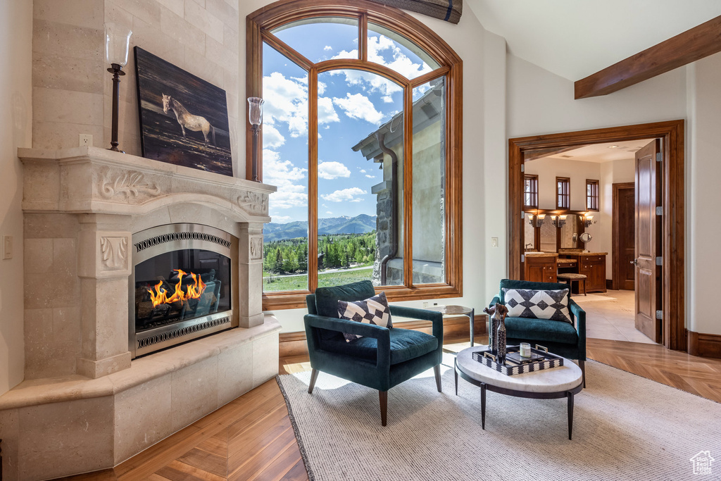 Living area with a mountain view and a fireplace