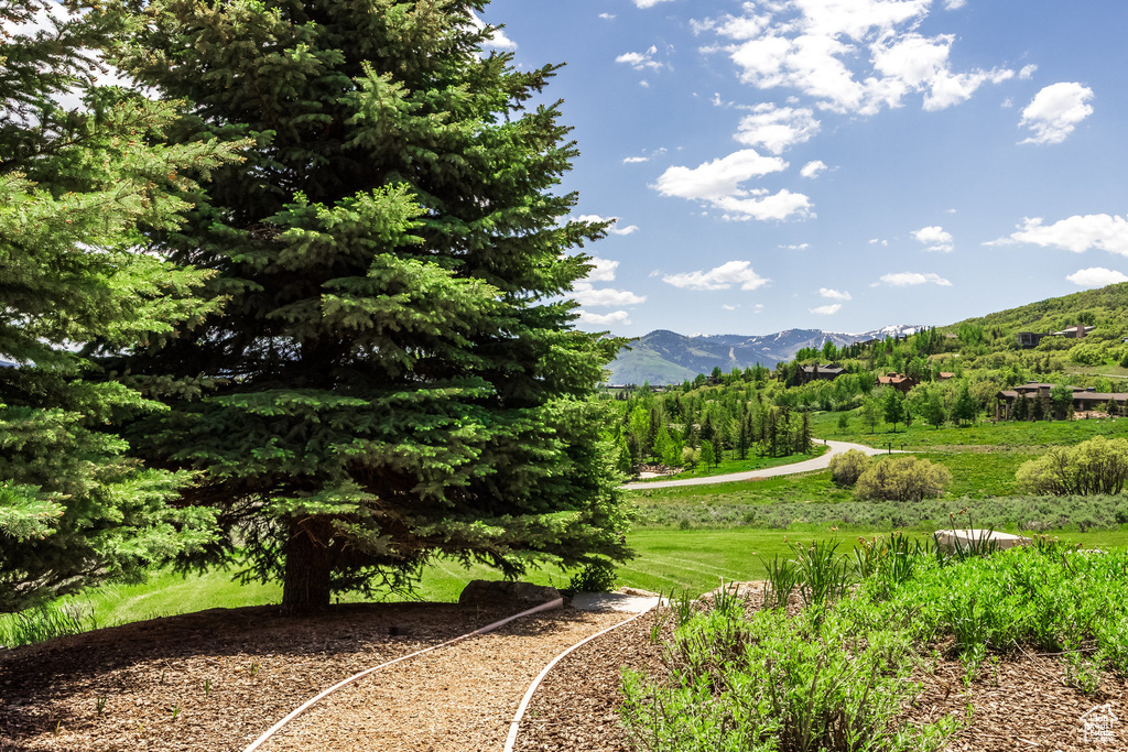 View of mountain backdrop