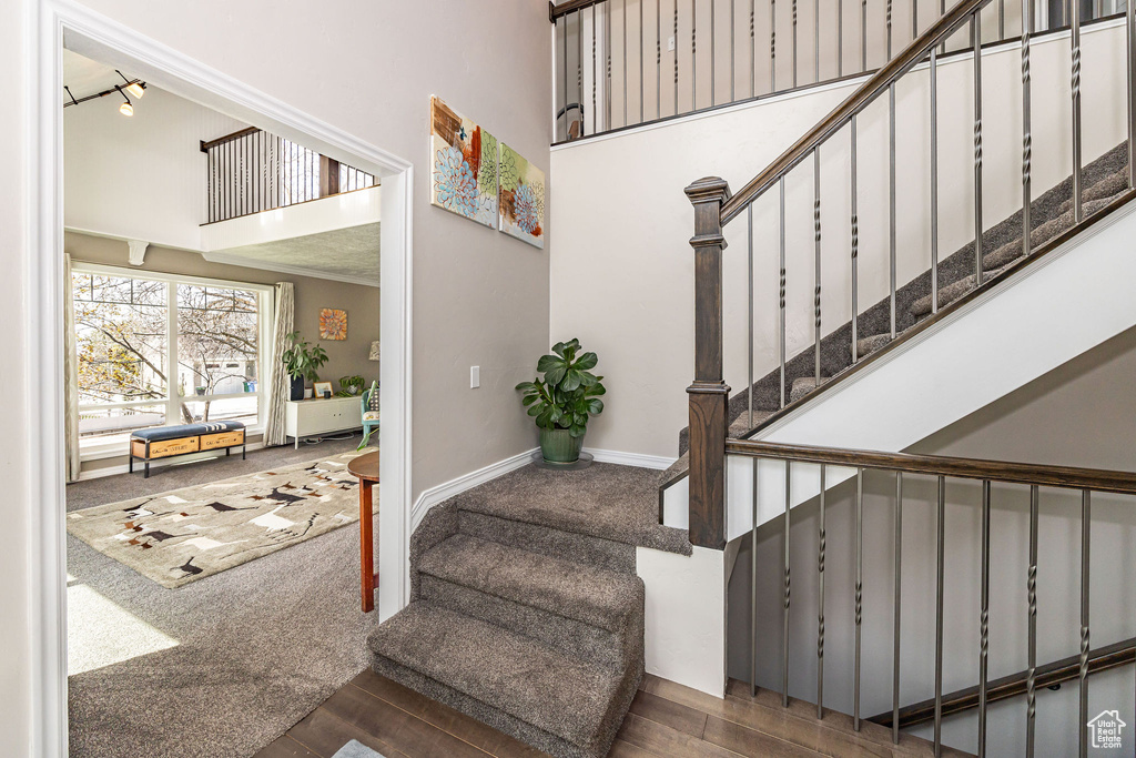 Stairs featuring a towering ceiling and wood finished floors