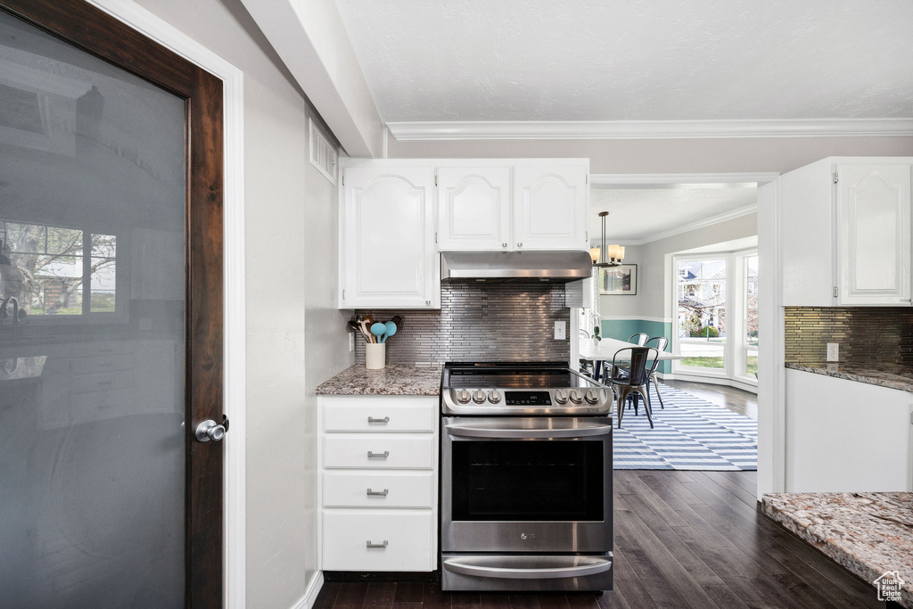 Kitchen featuring electric range, under cabinet range hood, dark wood finished floors, crown molding, and tasteful backsplash