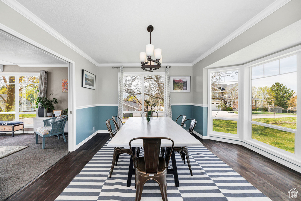 Dining area with plenty of natural light, a chandelier, dark wood-type flooring, and ornamental molding