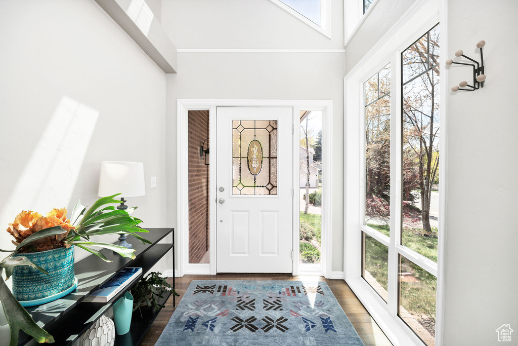Foyer with wood finished floors and a towering ceiling