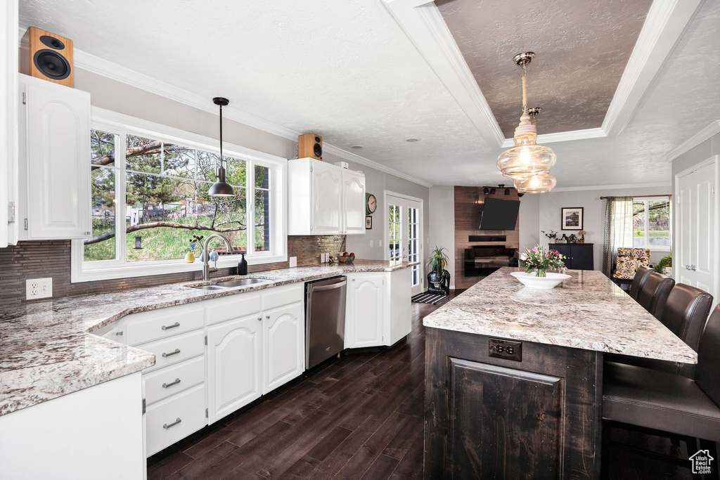Kitchen with stainless steel dishwasher, dark wood-type flooring, tasteful backsplash, white cabinetry, and ornamental molding