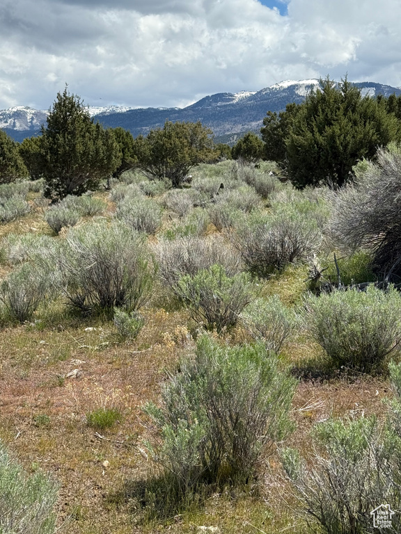 View of mountain backdrop