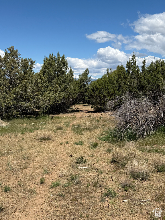 View of undeveloped land