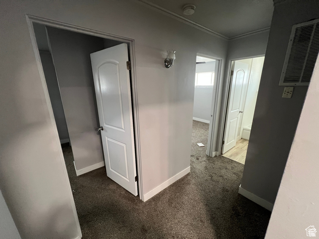 Hall with ornamental molding and carpet floors