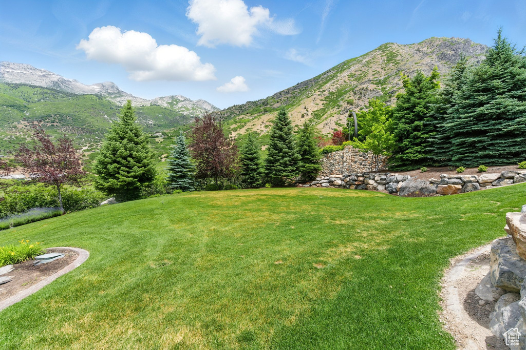 View of green lawn with a mountain view