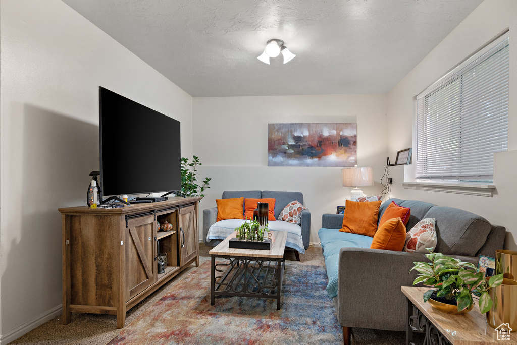 Living area featuring carpet and baseboards