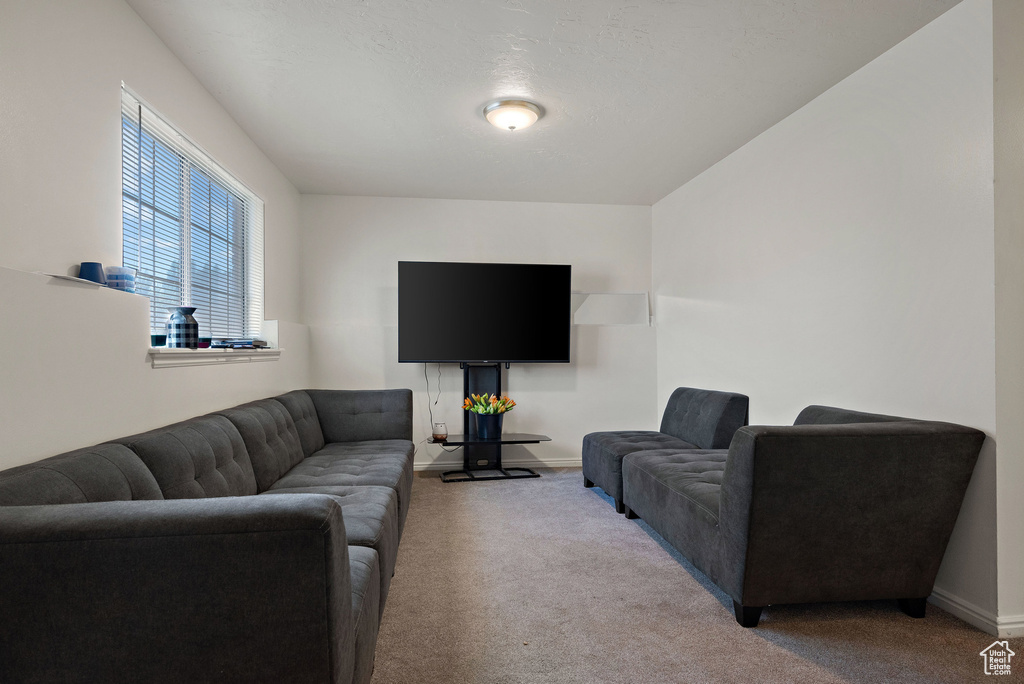 Carpeted living area featuring baseboards
