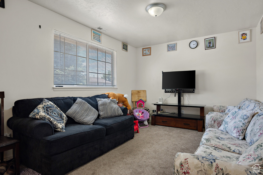 Living room featuring carpet flooring