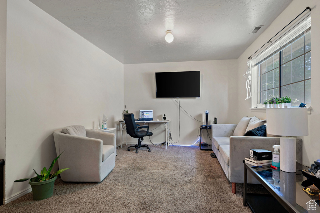 Office space with carpet floors and a textured ceiling