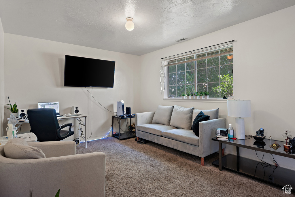Carpeted living room with a textured ceiling
