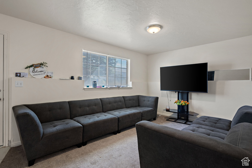 Living room with carpet floors and a textured ceiling