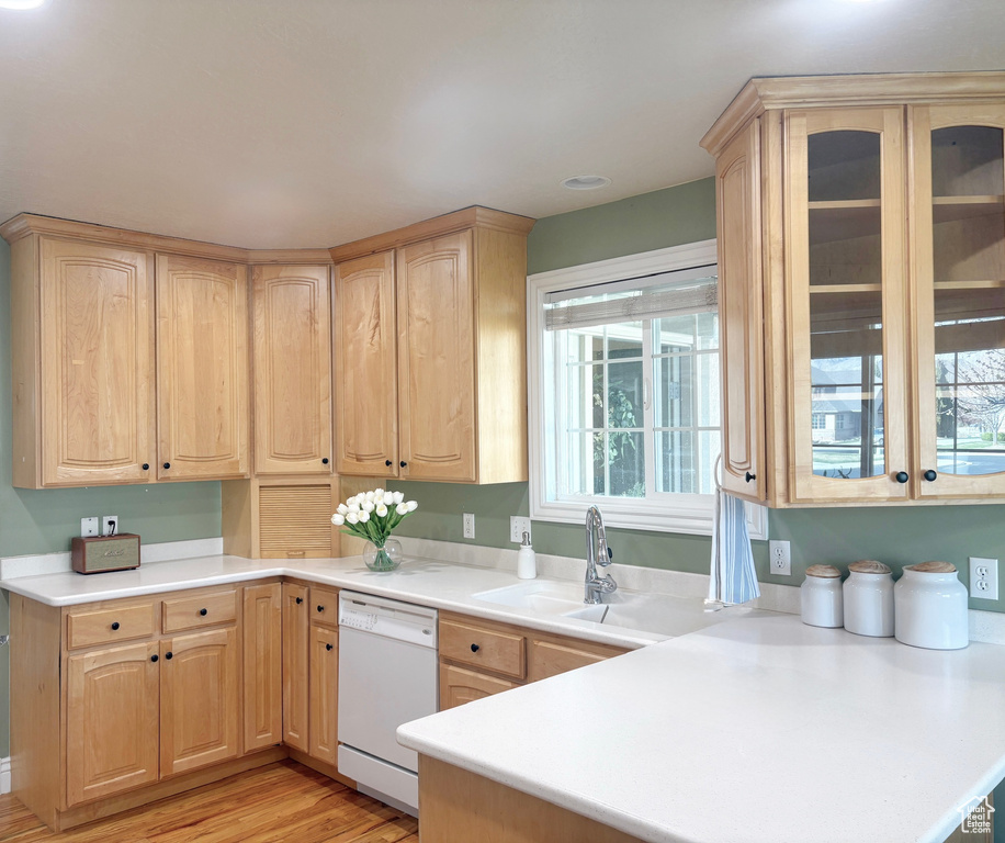 Kitchen featuring dishwasher, light brown cabinets, and light countertops