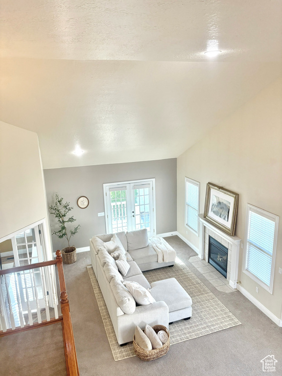 Living area with carpet floors and a fireplace