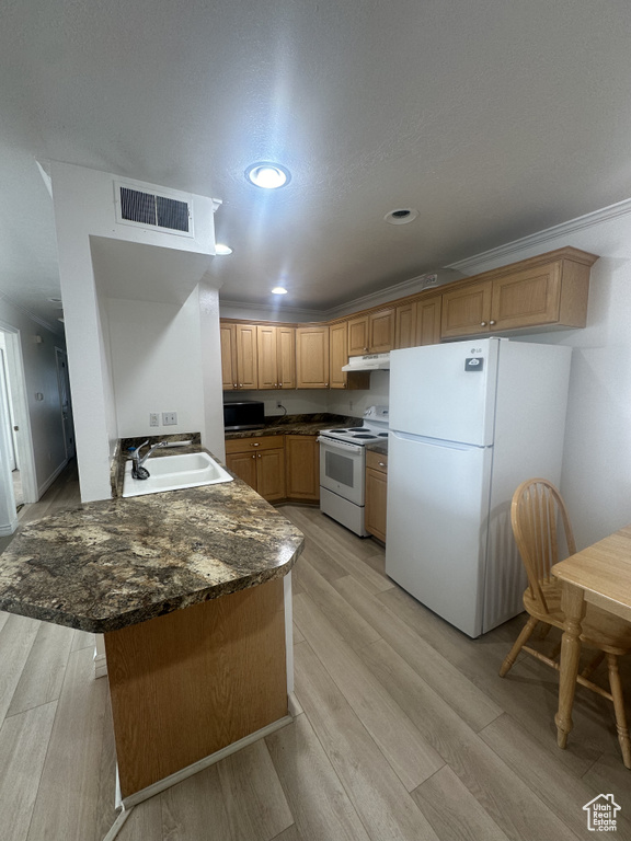 Kitchen featuring white appliances, under cabinet range hood, light wood finished floors, a peninsula, and recessed lighting