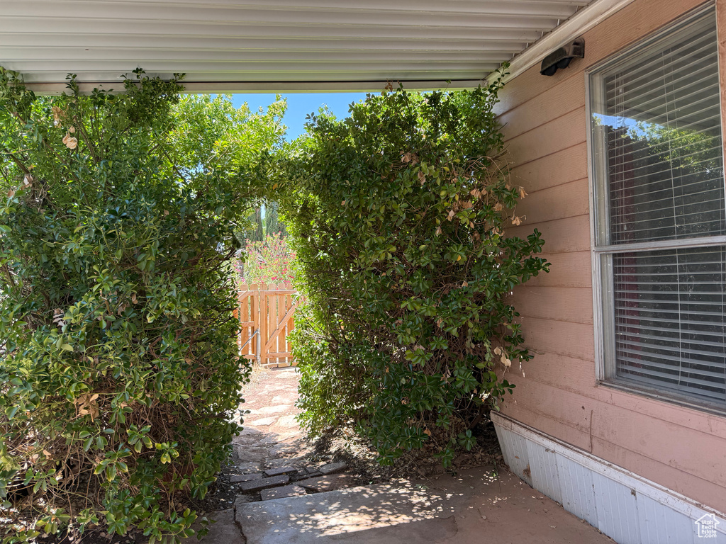 View of patio