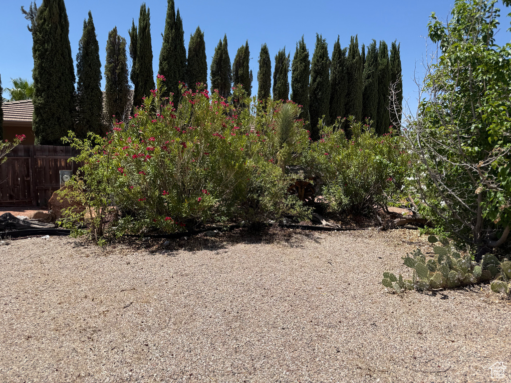 View of undeveloped land