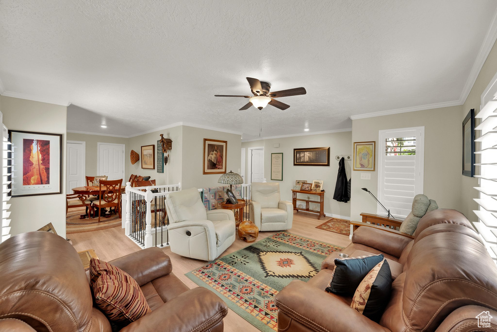 Living room featuring light wood-style flooring, a ceiling fan, and crown molding