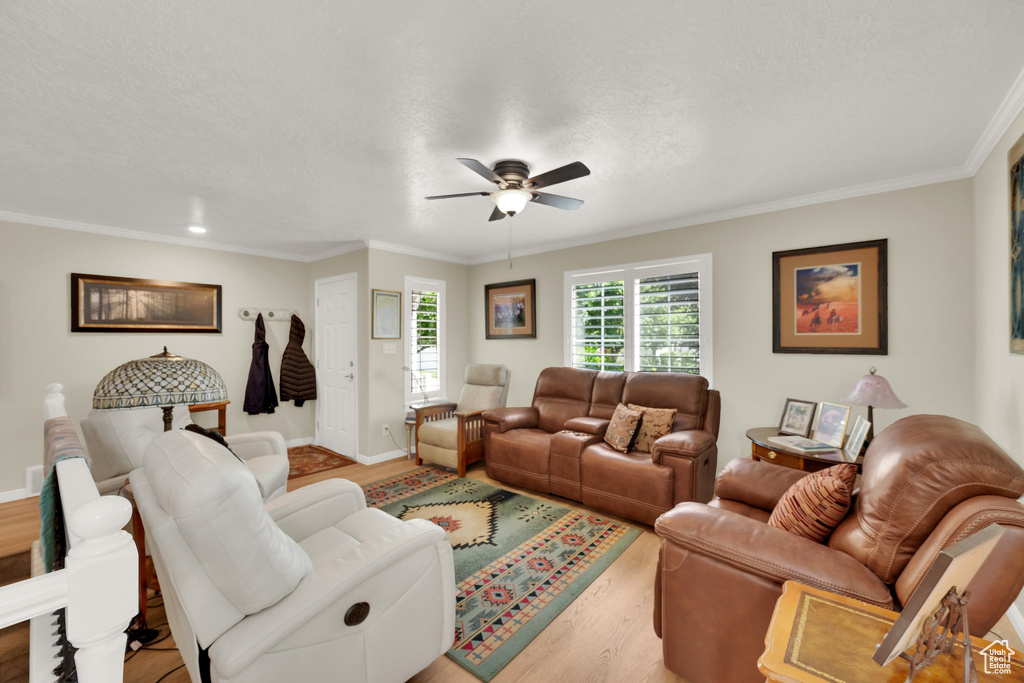 Living area with wood finished floors, a ceiling fan, crown molding, and baseboards