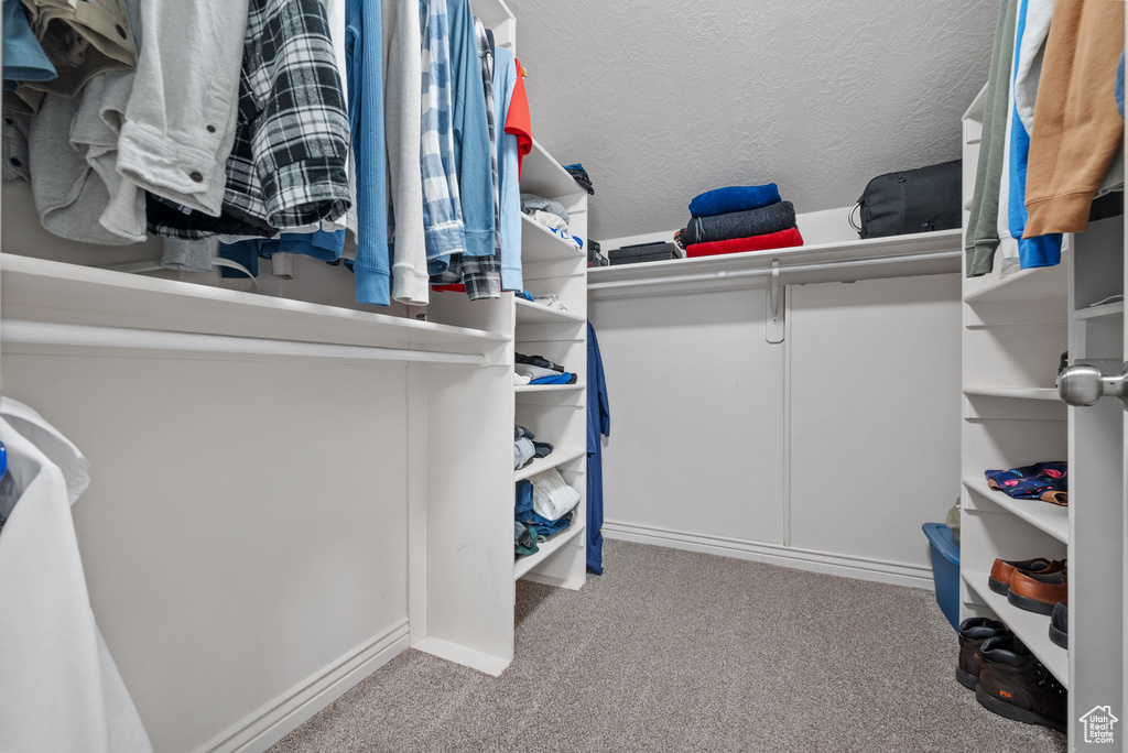Spacious closet featuring carpet
