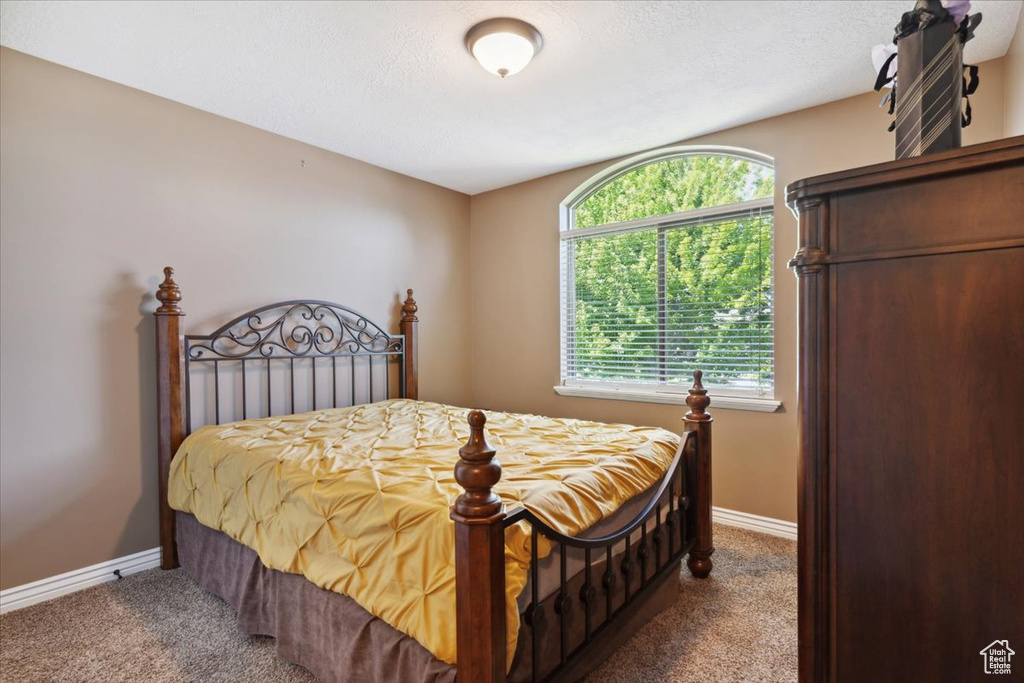 3146 N 750 W Pleasant View, UT 84414